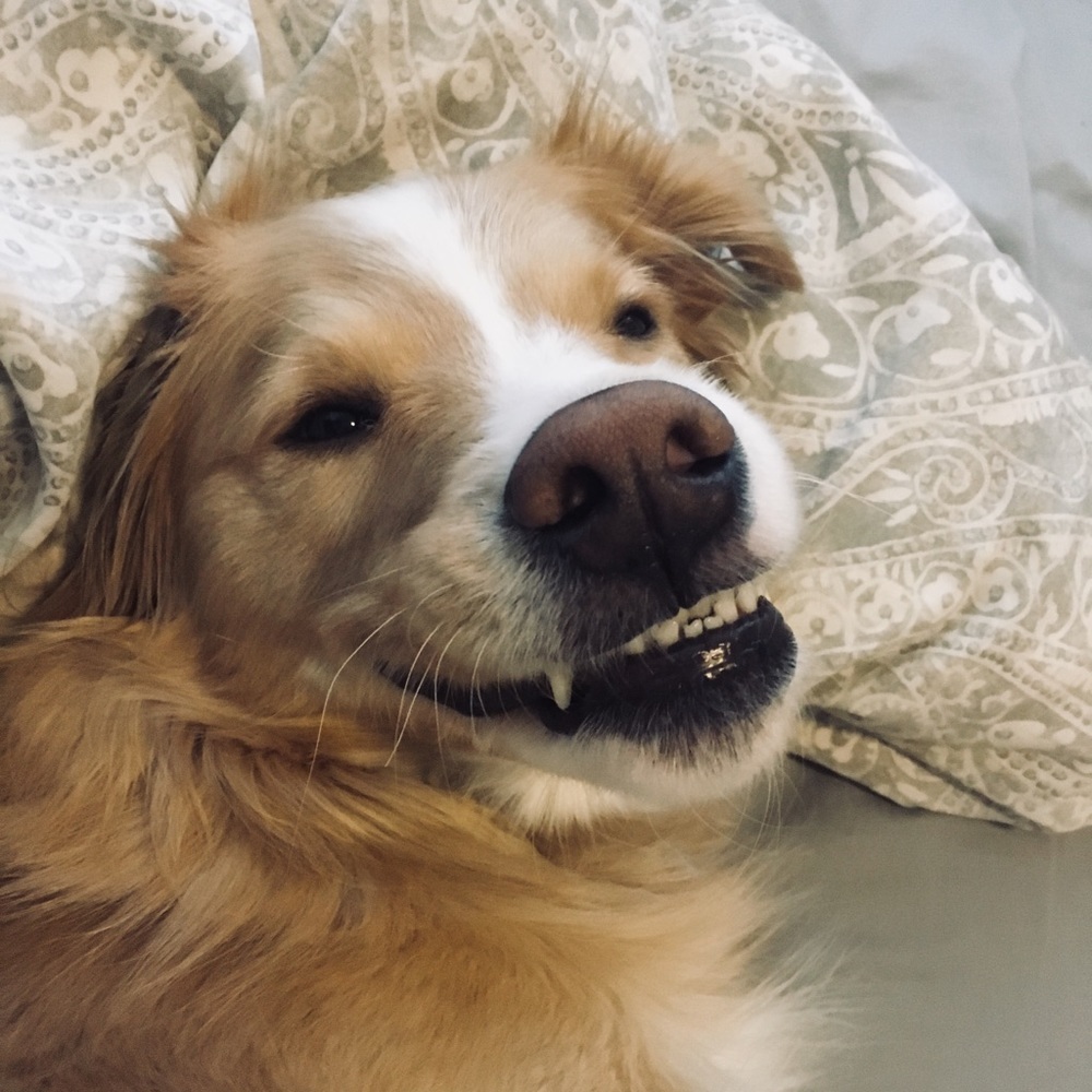 Meet your Posher, Janie